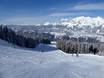 Diversité des pistes Ski amadé – Diversité des pistes Schladming – Planai/Hochwurzen/Hauser Kaibling/Reiteralm (4-Berge-Skischaukel)