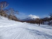 Piste facile Silver Dream (Hanazono)