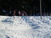 Bon plan pour les enfants : 