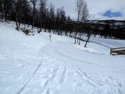 Piste de ski de fond à Hemavan