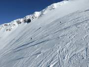 Freeriders au Glacier Jet