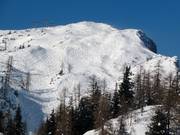 Magnifiques pistes de poudreuse au Lawinenstein