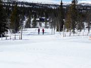 Pistes de ski de fond à Kvitfjell