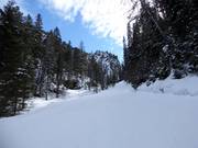 Descente vers Enzingerboden