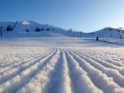 Très bonne préparation des pistes au Dollar Mountain
