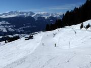 Piste bleue d'Alp Dado à Crest Falla