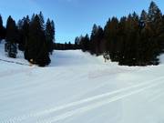 Piste facile Mora Ortesino n° 1c