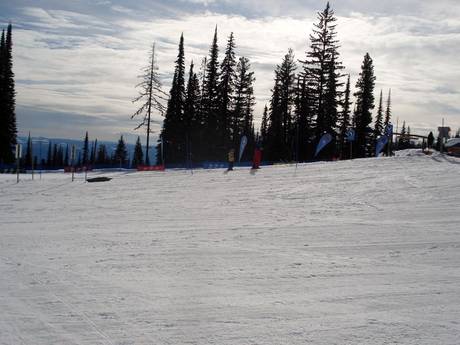Domaines skiables pour les débutants dans la région de Thompson Okanagan – Débutants Silver Star