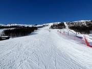 Piste au téléski Sysendalen