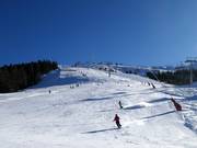 Piste facile Bärnbissabfahrt