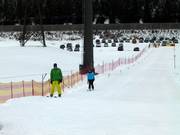 Beginners-Lift Flachauwinkl - Télécorde/remonte-pente à câbles bas