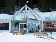 Bar de ski Igloo
