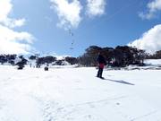 Happy Valley T-Bar - Téléski à pioches