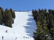 Piste difficile Variante Rainer