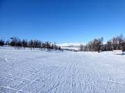 Piste facile à Ramundberget