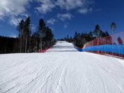 Piste facile Vezzena