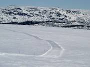 Piste de ski de fond au paysage pittoresque