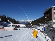 Lance à neige sur la descente vers la vallée