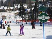 La piste au téléski C est verte, donc très facile.