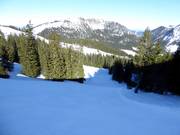 Piste très difficile Roßkopfabfahrt