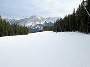 Large piste forestière dans le domaine skiable Nakiska