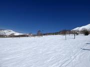 Des pistes faciles et larges à Annupuri