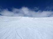 Piste n° 11 Mortsen