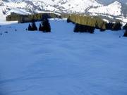 Piste à bosses au Sudelfeldkopf