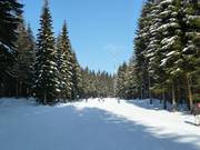 Descente sud Ochsenkopf