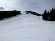 Pistes au télésiège 4 places Gschwandtkopf et au téléski Brunnentallift