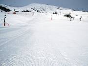 Kordsamt à Le Corbier