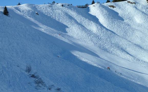 Domaines skiables pour skieurs confirmés et freeriders Naturparkregion Reutte – Skieurs confirmés, freeriders Hahnenkamm – Höfen/Reutte