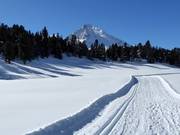 Piste de ski de fond d'altitude "La Muntagnarda"