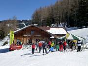 Aubergiste Genussspecht Mitterhausalm sur la Planai