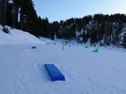 Petits obstacles au tapis roulant Bambi