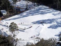 Plan des pistes Corin Forest