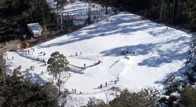 Corin Forest Corin Forest