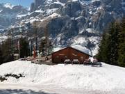 Chalet de restauration recommandé : Restaurant Weidstübli