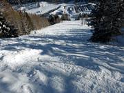 Pente de poudreuse en dessous de l'Alp Pradame