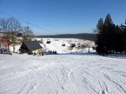 Piste n° 40 M1 Prawa