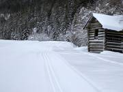 Piste de ski de fond dans l'Angertal