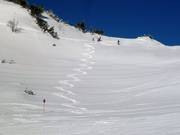 Petite excursion dans la poudreuse