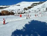 Petit Bosquet