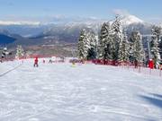 Piste pour débutants Campo Scuola Cermis