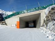 Descente facile vers la vallée jusqu'à Steinhaus