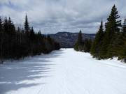 Piste difficile Les Braconnières