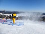 Enneigement performant à Zieleniec