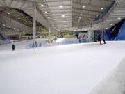 Piste pour débutants à la station de vallée