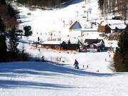 Pente variable et diversité : versants nord du Herrloh