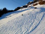 Possibilités de poudreuse dans la partie supérieure du domaine skiable